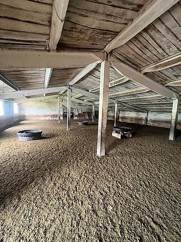 Продажа сельхоз предприятий: Кошара, 82 соток, Действующий, Частично с оборудованием, Электричество — 11