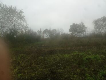 Torpaq sahələrinin satışı: 400 sot, Kənd təsərrüfatı, Maklerlər narahat etməsin — 19