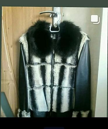 Kurtkalar: Kurtka, Bolonka, Qış, ColinS, L — 10