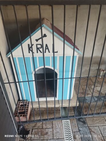 heyvan evləri: Mavi və ağ rəngli zolaqlı, qırmızı damlı, "KRAL" yazısı olan bu it