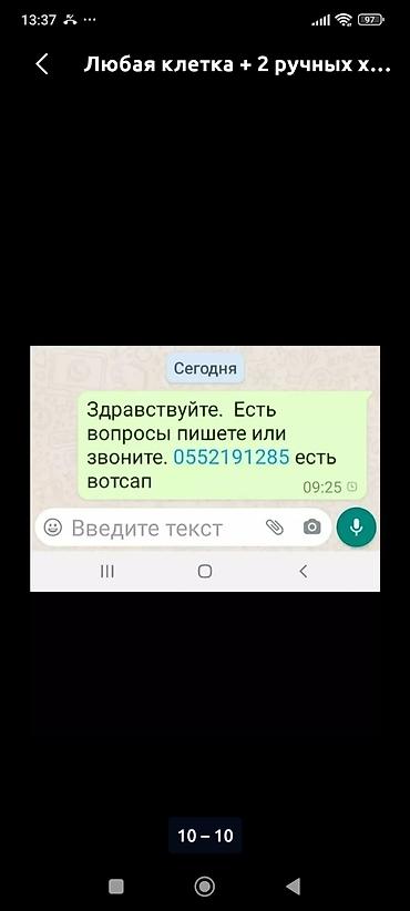 Зоотовары: Клетки для хомячков по 800 сом. шары по 100 сом, хомячки джунгарики по — 8