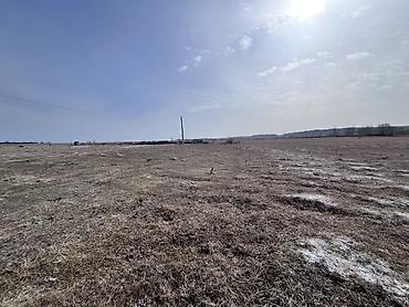 воронцовка бер булак: 10 соток, Для сельского хозяйства, Договор купли-продажи, Красная книга — 5