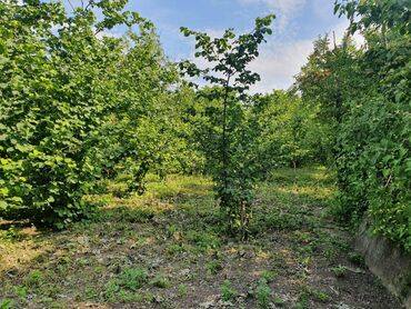 Həyət evləri və villaların satışı: 5 otaqlı, 158 kv. m, Orta təmir -da lalafo.az — 8 Həyət evləri və villaların satışı: 5 otaqlı, 158 kv. m, Orta təmir — 8