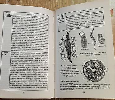 Учебники: Пособие по биологии для подготовки к ЕГЭ: **«Биология в таблицах — 2