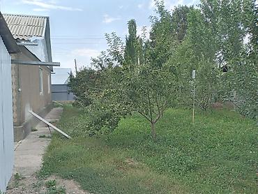 Продажа коттеджей и домов: Талас Алексеевкадан 6- комнаталуу там сатылат, бакчада алма, орук — 14