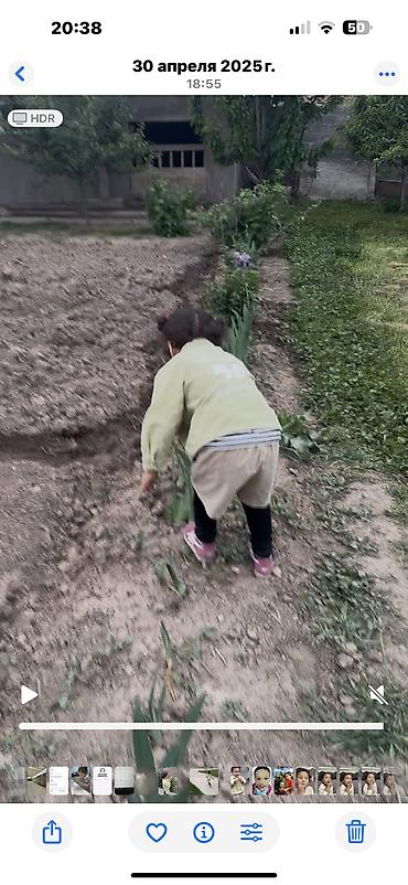 Продажа участков: 8 соток, Для строительства, Красная книга at lalafo.kg — 12 Продажа участков: 8 соток, Для строительства, Красная книга — 12