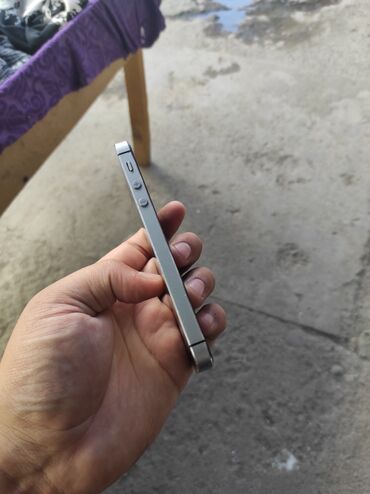 Apple iPhone: IPhone 5s, Б/у, 16 ГБ, Space Gray, Кабель, 1000 % — 5