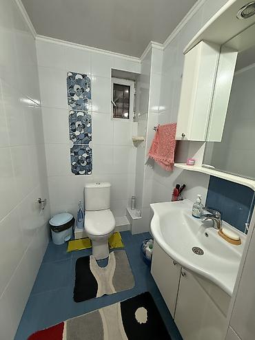 Долгосрочная аренда домов: 320 м², 10 комнат, Бронированные двери, Кондиционер, Подвал, погреб — 8