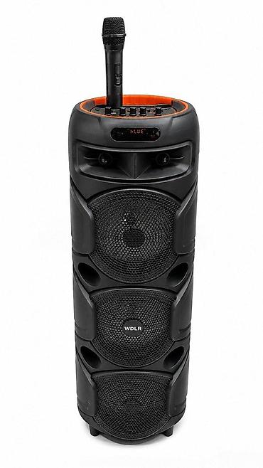 WDLR DR-8831 Bluetooth karaoke dinamik mikrofonlu portativ party