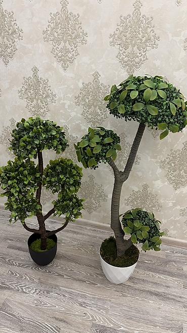 Искусственные цветы: Dekorativ süni ağaclar (2 ədəd) - Material: yüksək keyfiyyətli — 1