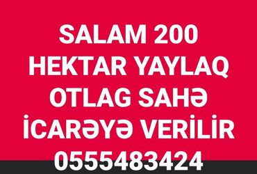Torpaq sahələrinin satışı: 20000 sot, Kənd təsərrüfatı, Mülkiyyətçi, Müqavilə