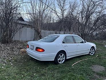 Mercedes-Benz: Mercedes-Benz E-Class: 2000 г., 3.2 л, Автомат, Бензин — 3