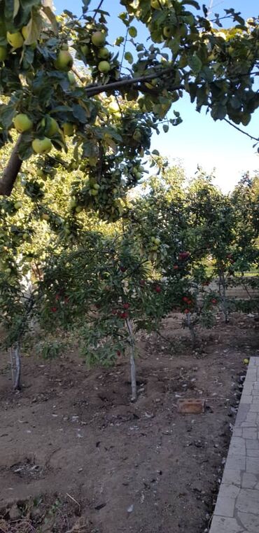 Продажа домов: Дом, 310 м², 6 комнат, Собственник, Дизайнерский ремонт — 5