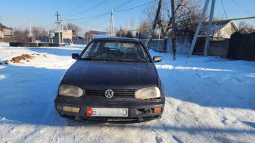 Volkswagen: Volkswagen Golf: 1994 г., 1.6 л, Механика, Бензин, Хэтчбэк