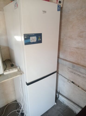 стоящий холодильник: Холодильник Beko, Новый, Двухкамерный, No frost, 60 * 185 * 65