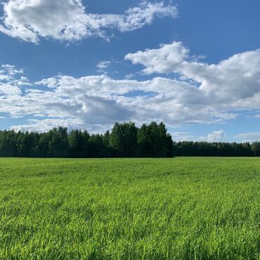 продаю ателье: Для сельского хозяйства