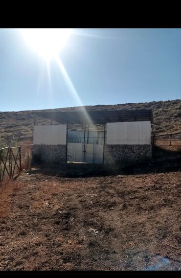 Другие товары для дома и сада: Продается действующий бизнес кашар вместе с садом для разведения скота — 12