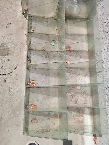 Şüşə vitrin/raf modulu - Material: tam şüşə konstruksiya (yan
