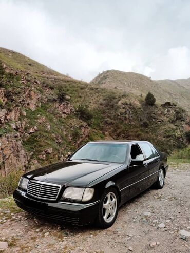 мерс с300: Mercedes-Benz S-Class: 1996 г., 4.2 л, Типтроник, Бензин, Седан