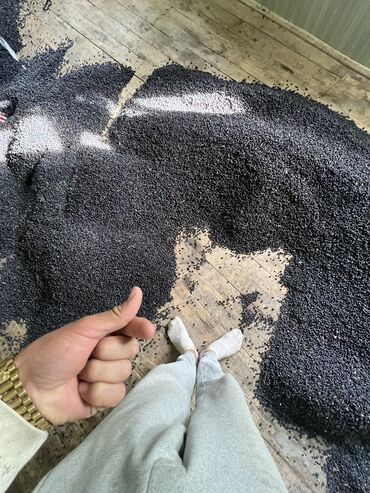 бору карагат: Бору карагат