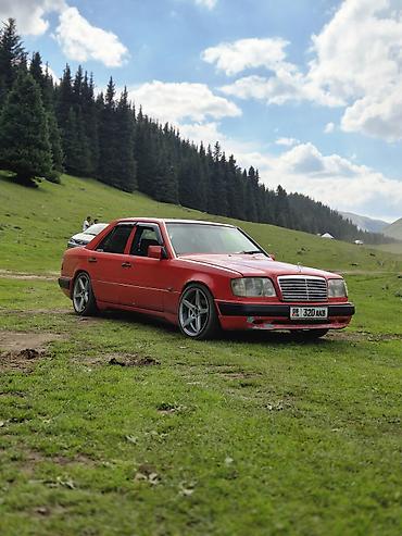 s420 1992: Mercedes-Benz W124: 1993 г., 3.2 л, Автомат, Бензин, Седан — 1