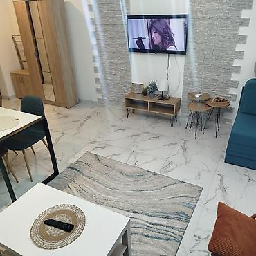 selidbe kuca: Golden star Studio apartman- Planirate savršen beg u prirodu, ali ne — 4