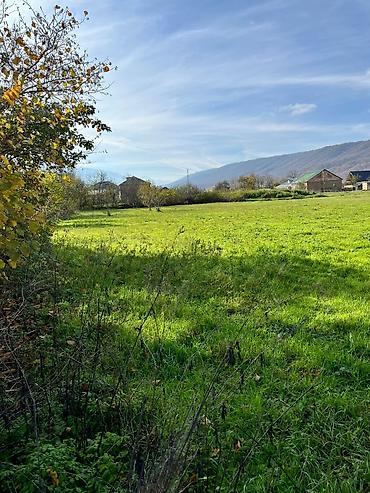 Torpaq sahələrinin satışı: 18 sot, Kənd təsərrüfatı, Kupça (Çıxarış) — 7