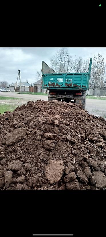 Перегной, навоз: Камаз — 10