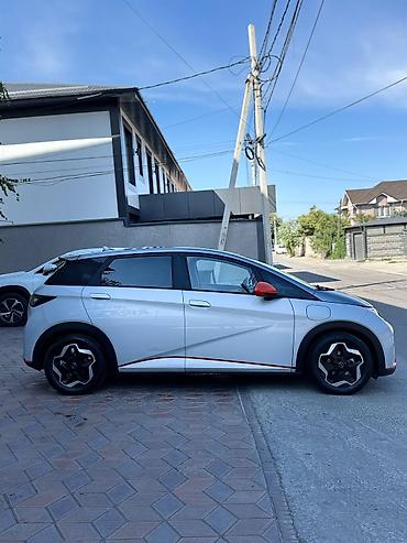 толка оптом: BYD Dolphin: 2022 г., Электромобиль, Хэтчбэк — 5