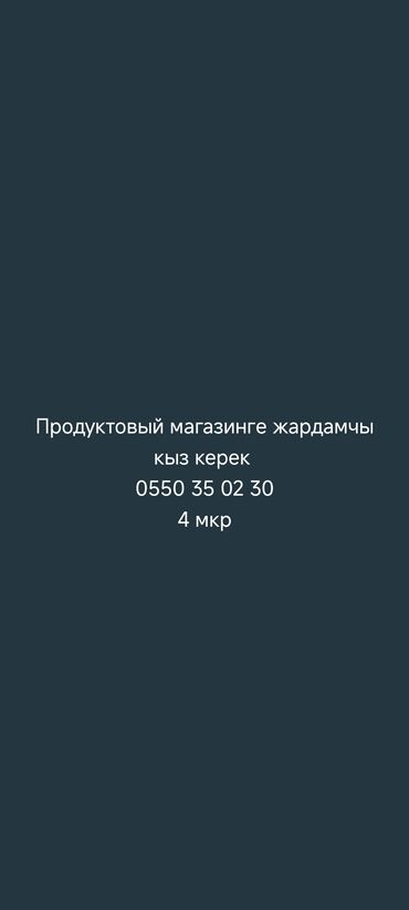 работа в продуктовом магазине бишкек: Продуктовый магазинге жардамчы кыз керек