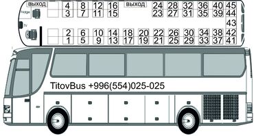 Трансфер, пассажирские перевозки: Автобус | 49 мест — 2