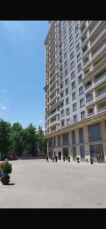şeki: Obyekt təcili icarəyə verilir ! Qiyməti : 700 AzN. Gənclik metrosu — 5