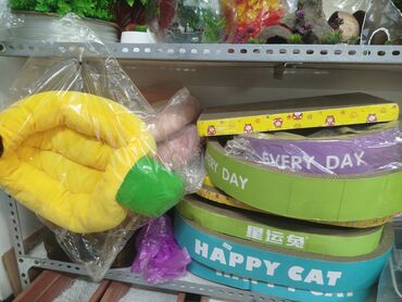 Аквариумы: Предлагается набор маленьких красноухих черепах. Эти черепахи отлично — 14