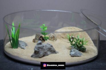 Heyvanlar üçün digər mallar: Hər ölçüdə hər dizaynda qarışqa yuvaları yığılır səliqəli və təmiz — 12