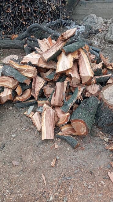 каракол дрова: Дрова