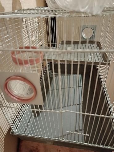 sican sekili: Hamster/qəbilə gəmiricilər üçün qəfəs və tunel dəsti - Metallik — 1
