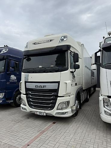 ксенон блок: Тягач, DAF, Холодильник, рефрижератор — 1