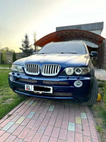 BMW X5: 2005 г., 4.8 л, Автомат, Бензин, Внедорожник