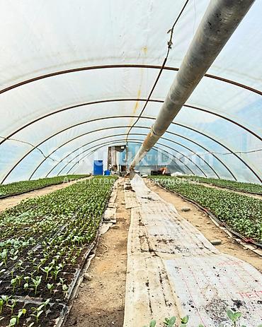 Продажа коттеджей и домов: 🏠Продаётся дом в с. Сокулук 🟡Комнаты: 4 🟡Участок: 8,8 соток ( по факту — 5