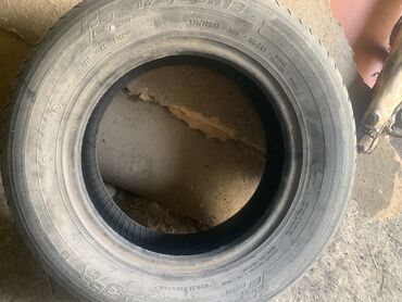 калпак купить бишкек: Шиналар 175 / 70 / R 13, Жай, Колдонулган, Жеңил унаалар