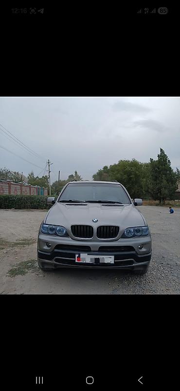 BMW X5: 2004 г., 3 л, Автомат, Бензин, Внедорожник