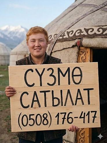 завтрак: Сузмо, В розницу, Бесплатная доставка — 1