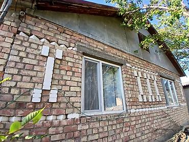5: Чоң-Кемин жаратылыш паркында жайгашкан Шабдан айылынан бышкан — 10