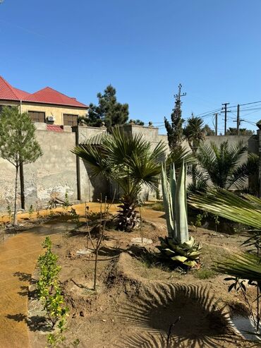 Həyət evləri və villaların satışı: Mərdəkan 3 otaqlı, 100 kv. m, Kredit yoxdur, Orta təmir — 2