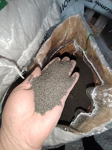 Люцерна: Люцерна ( Беде ) оптом и розница — 6