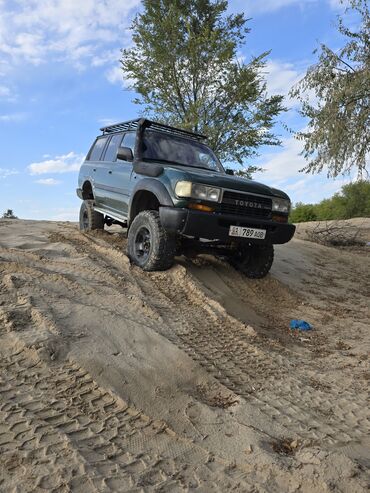 акустические системы crown со светомузыкой: Toyota Land Cruiser: 1993 г., 4.2 л, Механика, Дизель, Внедорожник