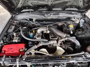 Nissan: Nissan Pathfinder: 3.2 l | 1998 il Ofrouder/SUV — 12