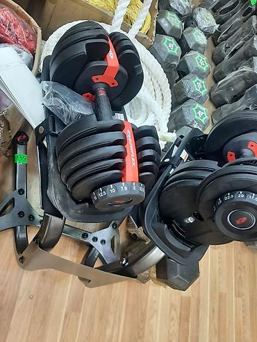 Qantellər: Qantellər, Yeni — 5