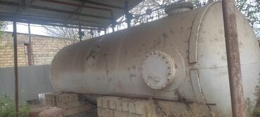 tuya ağacı faydaları: Bak, Metal