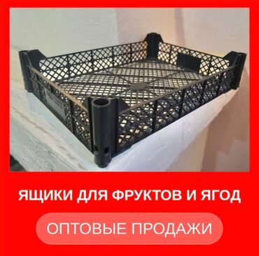 сэндвич тойбосс цена бишкек: Ящик, Жаңы